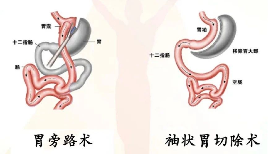 微信图片_20250508163048.jpg